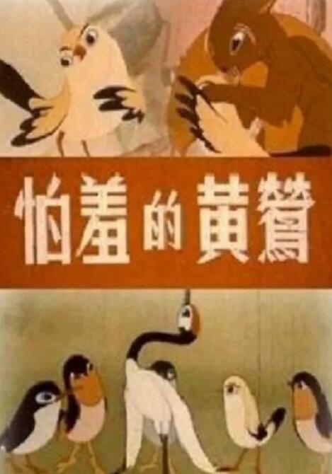 操老女人视频